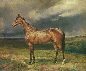 &39;Abdul Medschid&39; o cavalo árabe castanho, 1855